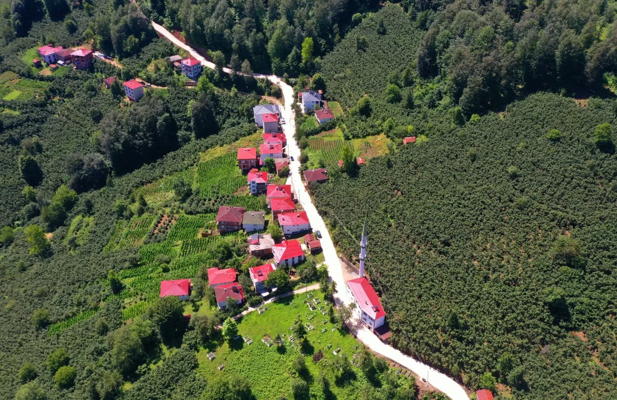 Alacalar Mahallesi: Tarihi, Kültürü ve Yerel Yaşamı
