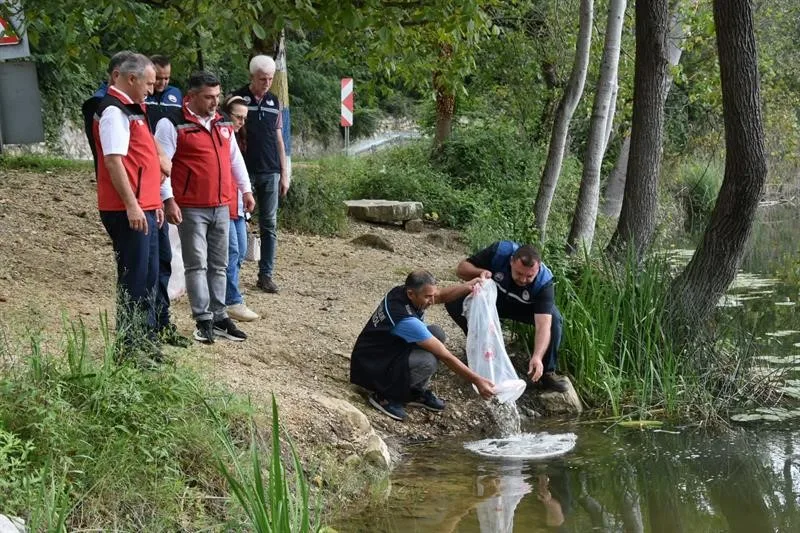 Göl ve göletlere 80 bin yavru sazan balığı bırakıldı